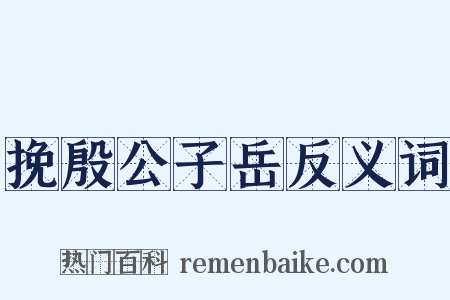 挽殷公子岳反义词是什么意思的图片